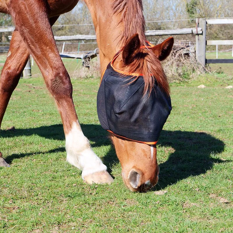 Equilibrium Field Relief Midi Fly Mask - No Ears - Black/Orange